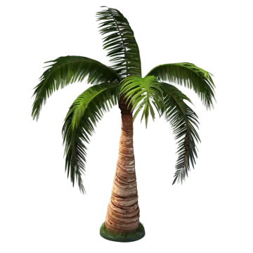 a palm tree on a white background