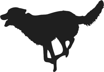 a black and white silhouette of a dog