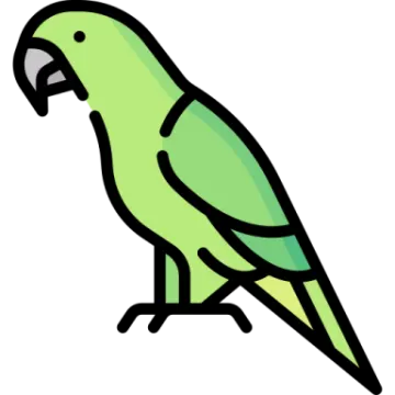 a green parrot on a white background