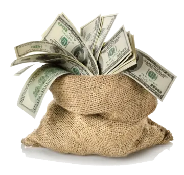 a bag full of money