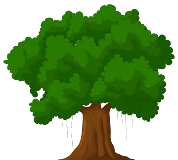a tree with green leaves and roots