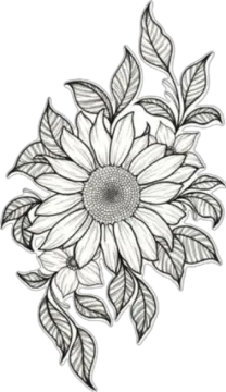 a drawing of a sunflower