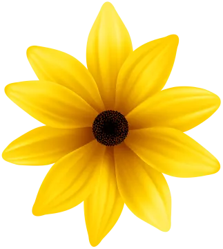 a yellow flower with black center