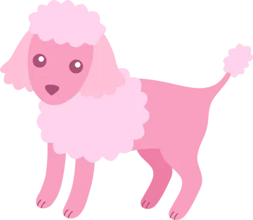 a pink poodle standing on a white background