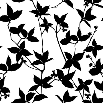black silhouettes of leaves on a white background