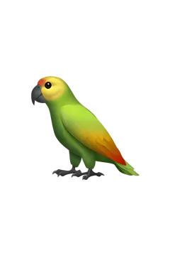 a green parrot sitting on top of a white background