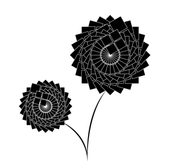 a black and white image of two flowers
