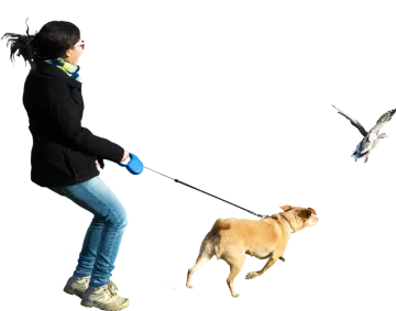 a woman walking a dog on a leash