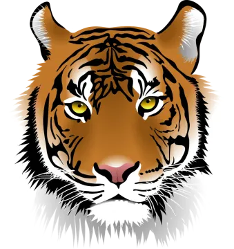 a tiger's face with yellow eyes