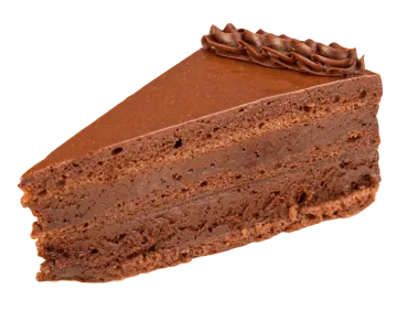a piece of chocolate cake on a white background