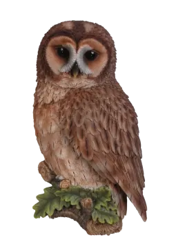 an owl sitting on top of a tree branch