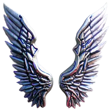 a pair of wings on a white background