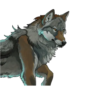 a drawing of a wolf