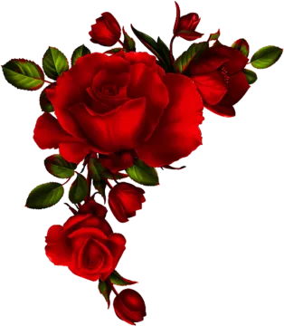 a bunch of red roses with green leaves