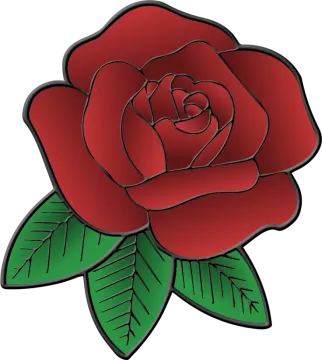 a red rose with green leaves