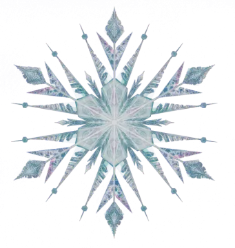 a drawing of a snowflorer on a white background