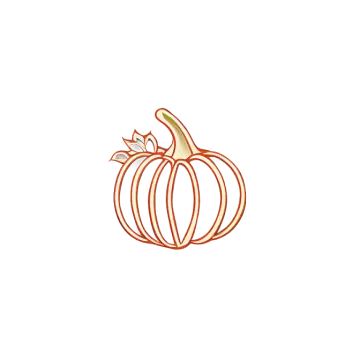 a pumpkin on a white background