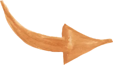 a watercolor drawing of an orange bird