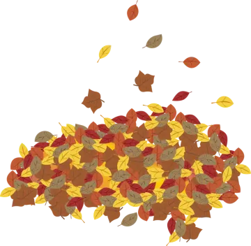 a pile of leaves on a white background