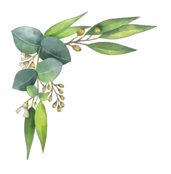 a watercolor painting of an olive branch