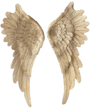 a pair of gold angel wings