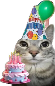 a cat is looking at a birthday cake