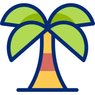 a palm tree