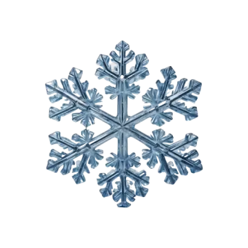 an image of a snowflorer