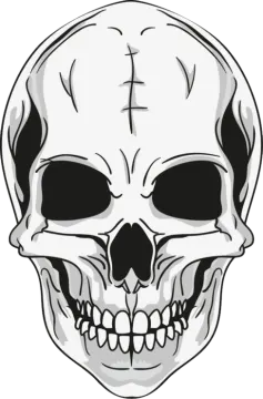 a skull with teeth and fangs