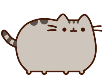 a cat with its eyes closed