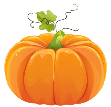 an orange pumpkin with a leaf on top