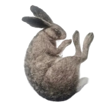 a stuffed rabbit on a white background