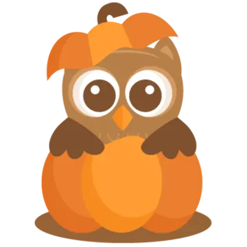 an owl sitting on top of a pumpkin