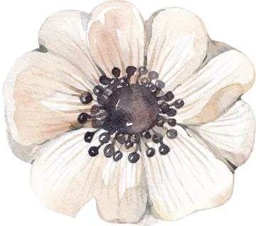 a watercolor painting of a white flower