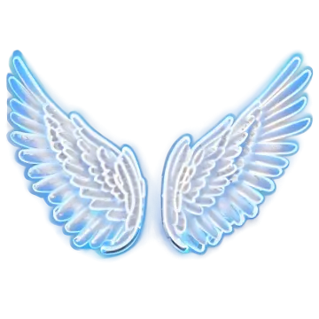 a pair of angel wings on a white background