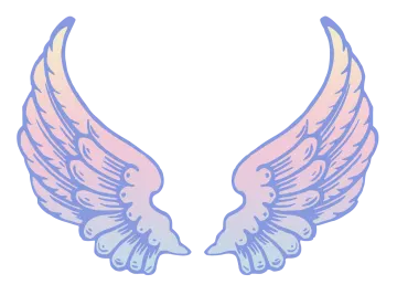 a pair of pink and blue wings