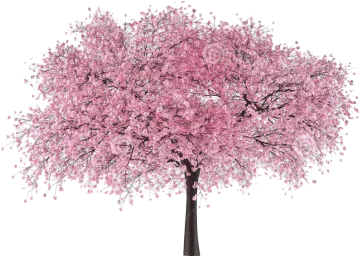 a tree with pink flowers on it