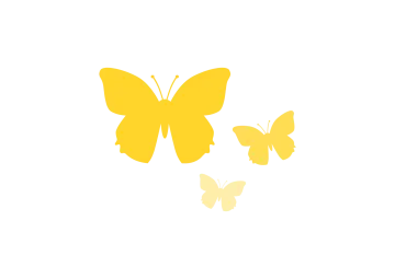 two butterflies on a white background