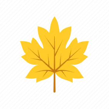 a yellow maple leaf