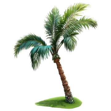a palm tree on a white background