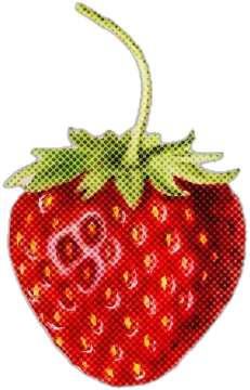 a drawing of a strawberry on a white background