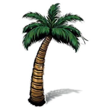 a palm tree on a white background