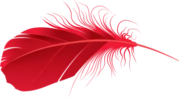 a red feather on white background