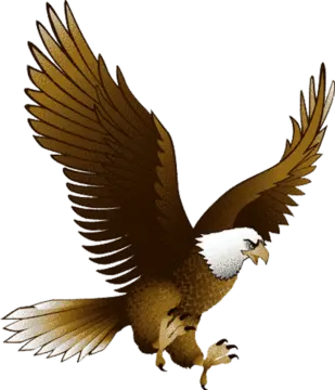an eagle flying with its wings spread out