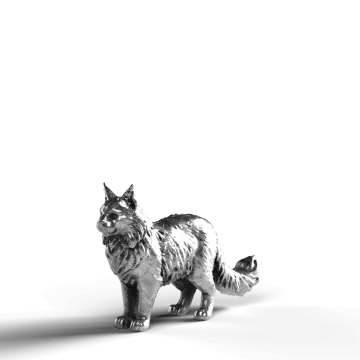 a black and white cat on a white background