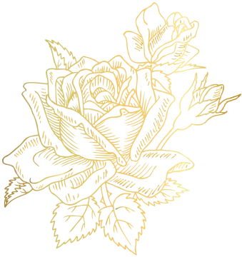 a gold rose on a white background