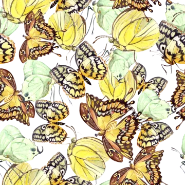 a watercolor painting of yellow butterflies