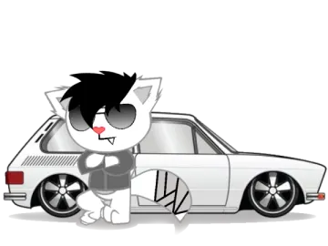 a white car with a black cat sitting on top of it