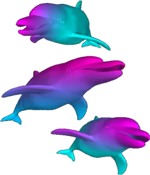 three dolphins in different colors