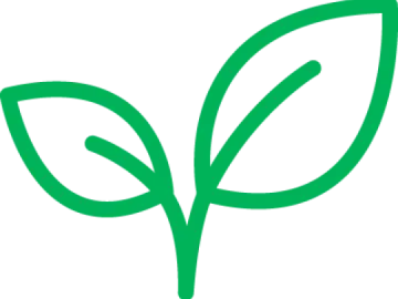 a green leaf with a white background